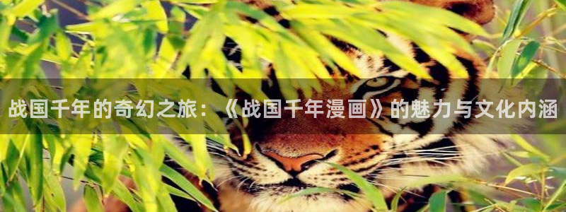 天堂漫画进入：战国千年的奇幻之旅：《战国千年漫画》的魅力与文化内涵