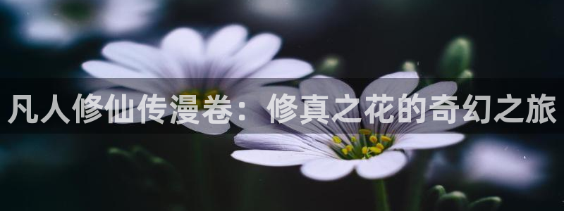亚洲天堂漫画：凡人修仙传漫卷：修真之花的奇幻之旅