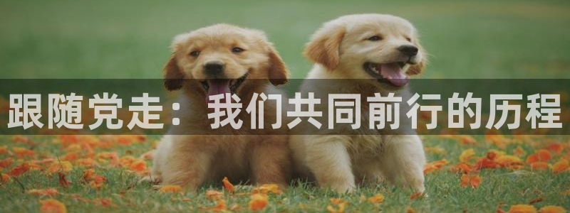 韩漫天堂漫画网站：跟随党走：我们共同前行的历程